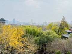 -济南大明湖景区