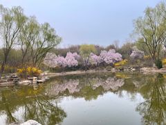 -石家庄市植物园