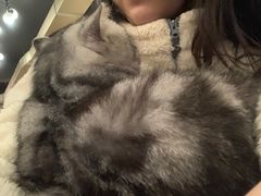 -萌喵咖啡屋(人民东路4号口M16商铺店)