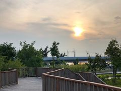 -宝安西湾红树林湿地公园