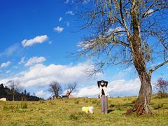 -硗碛藏寨·神木垒景区