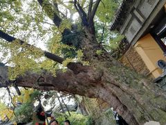 -无锡惠山寺