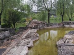 -鹦鹉寺公园