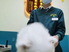 -乖乖宠物医院·猫科·急重症中心(车站北路分院)