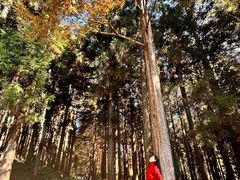 -罗田薄刀峰风景区