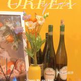 成都最黄小店💛美式brunch🐝BusyBee