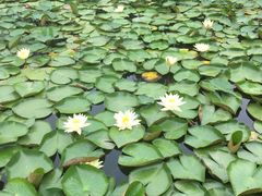 -暨阳湖生态园