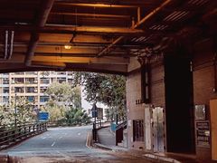 -香港大学