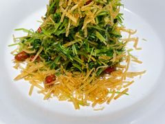 巧拌豆苗-四季民福烤鸭店(西单华威约饭街店)