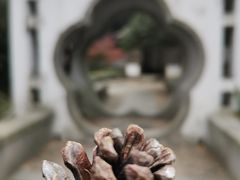 -无锡梅园公园