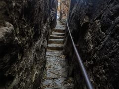 -天女山森林公园