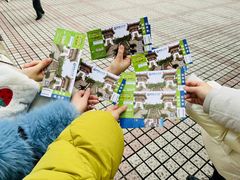 -寻龙山风景旅游区