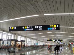 -石家庄正定国际机场-T2航站楼