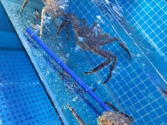 -前王院•巧克力海鲜市集餐厅(万平口店)