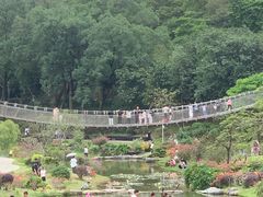 -东莞植物园