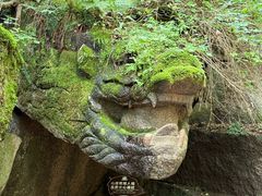 -汤旺河林海奇石景区