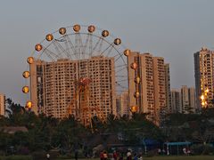 -万绿园