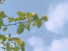 -两江幸福广场