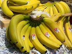 -鲜力达果品批发直销(青山店)