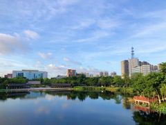 -映月湖公园