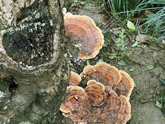 -狼山风景名胜区