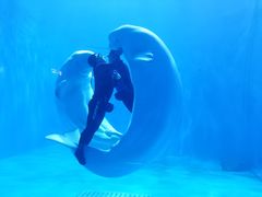 -多彩贵州城极地海洋世界