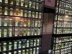 -广东中医药博物馆