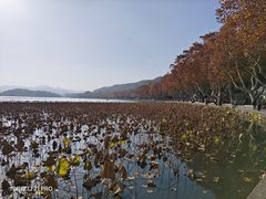 -北山街历史文化街区