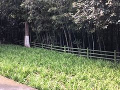 -菊花台公园