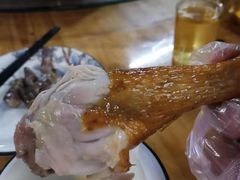 新湖烧鸡-新湖烧鸡(光明店)