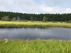 -塞罕坝国家级自然保护区