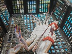 -四道口水产市场