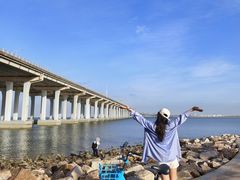 -宝安西湾红树林湿地公园