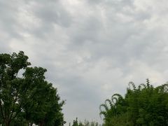 -眉山湿地公园(东坡区)