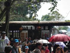 -金盆阿嬷香菇茶叶蛋(玄光店)