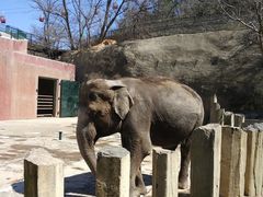 -大连森林动物园