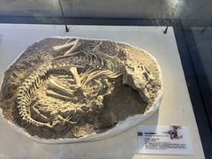 -国家自然博物馆