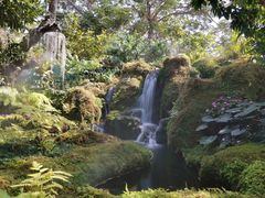 -Chom Cafe and Restaurant