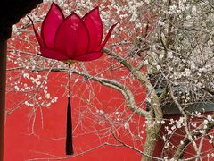 -钱王祠