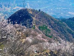 -北京鹫峰国家森林公园