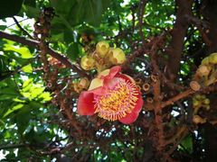 -柬埔寨国家博物馆