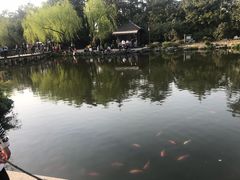 -西湖外事游船(花港观鱼码头)