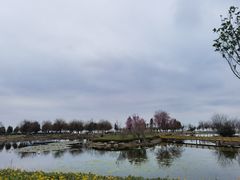 -呈贡滇池生态湿地公园