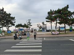 -林海公园
