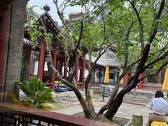 -宫事颐庭·老佛爷贵寿下午茶(颐和园店)