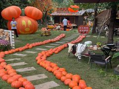 -HERRE·FARM 赫尔露营农场·团建聚会包场