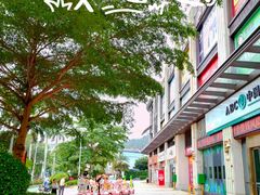 -大鹏佳兆业广场