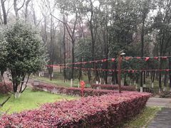 -象山森林公园