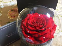 -ROSEONLY诺誓(青岛万象城店)