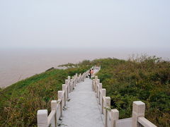 -洋山深水港